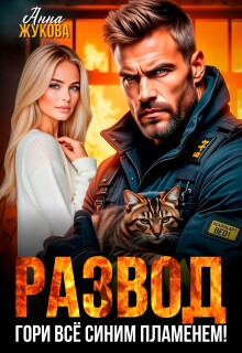 Развод. Гори всё синим пламенем!
