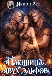 Пленница двух эльфов