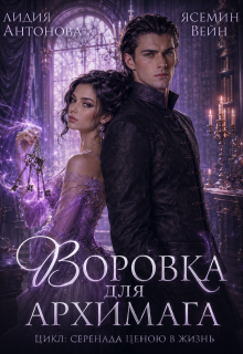 Воровка для архимага