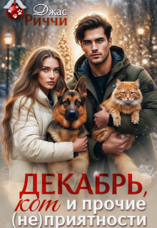 Декабрь, кот и прочие (не)приятности