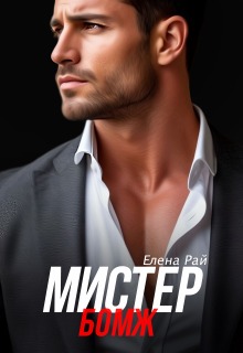 Мистер Бомж